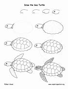 Image result for How to Draw a Sea Turtle