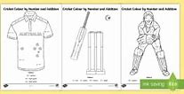 Image result for Cricket Colour Paper