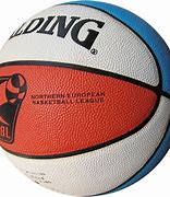 Image result for Spalding NBA Indoor/Outdoor Basketball