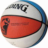 Image result for Spalding NBA All-Conference Basketball