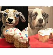 Image result for Cupcake Dog Meme