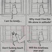 Image result for Sad Cat Love Meme