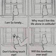 Image result for Funny Saturday Cat Memes