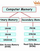 Image result for Types of Primary Memory