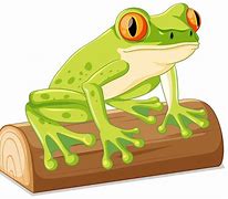 Image result for A Green Frog Cartoon