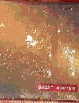 Image result for Ghost Hunter Gun