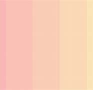 Image result for Melon Peach Color Palette