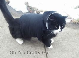 Image result for Black Cat Hoodie