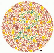 Image result for ProTan Color Blind Test