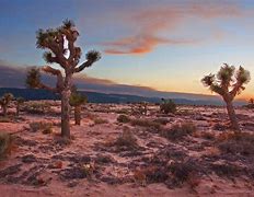 Image result for Mojave Desert Jawbone Canyon