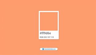 Image result for Pantone 163 C