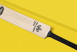 Image result for GM Cricket Bat Stickers