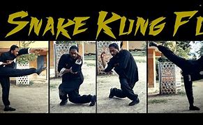 Image result for Shaolin Kung Fu Snake Style Bassic