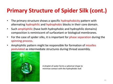 Image result for Example of Problem Solving About Probability