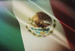 Image result for abandera5
