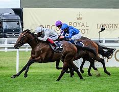 Image result for Royal Ascot Horse Rider Male
