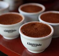 Image result for hacienda la esmeralda coffee