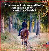 Image result for Horse Quotes About Shows