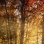 Image result for Fall Lock Screen
