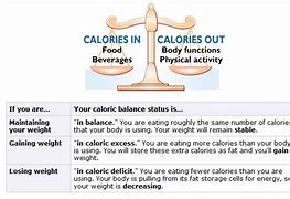 Image result for Quickest Weight Loss Diet