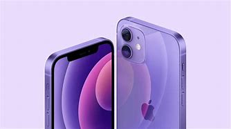 Image result for iPhone 12 Mini Purple Screen