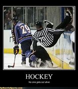 Image result for Ice Hockey Funny Moments