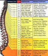 Image result for Chiropractic Pain Chart