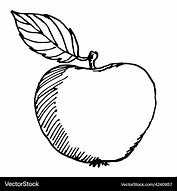 Image result for Apple Sketch