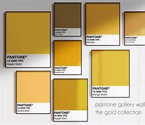 Image result for Shades of Gold Decimal Colours