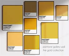 Image result for What Is the Pantone Color for Gold