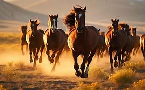 Image result for Temaplates of Horses Running