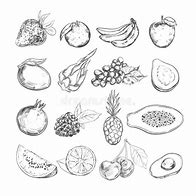 Image result for Fruits 1080P
