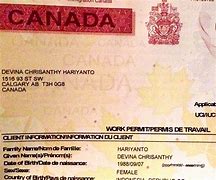 Image result for Open Work Permit