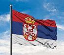 Image result for Bandera De Serbia