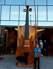 Image result for Biggest Violin