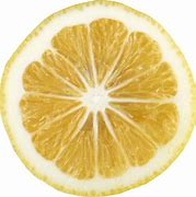 Image result for Citrus Slices