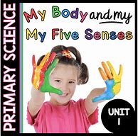 Image result for My Five Senses Worksheets for Kindergarten