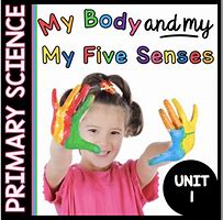 Image result for 5 Senses Art for Preschoolers