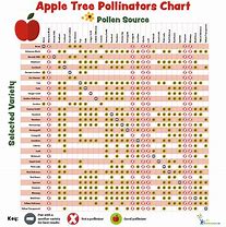 Image result for Apple Pollinators List