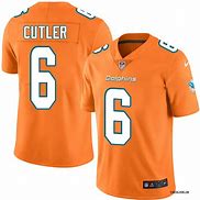 Image result for Jay Cutler Jersey