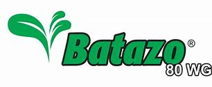 Image result for batazo