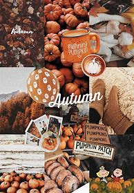 Image result for Aesthetic Autumn Wallpaper Collage Clear Picture