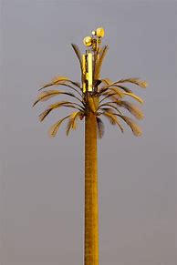 Image result for Cell Phone Tower Palm Tree