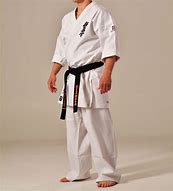 Image result for Kyokushin Karate GI