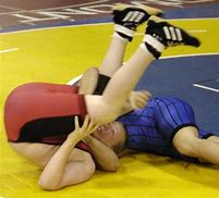 Image result for Kids Wrestling