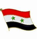 Image result for Syria Flag