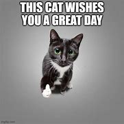 Image result for Have a Happy Day Cat