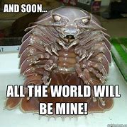 Image result for Isopod Meme