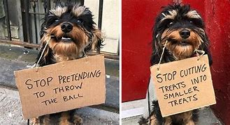 Image result for Dog Activists Puns