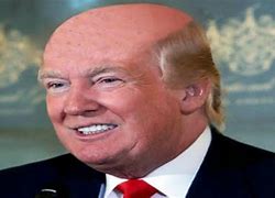 Image result for Funny Background Wallpaper Trump